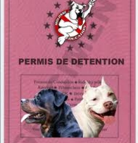 Illustration du document "Déclaration en mairie d'un chien de la 2ème catégorie (11461*02)"